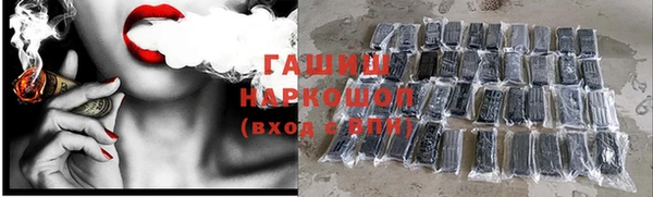 гашик Алзамай