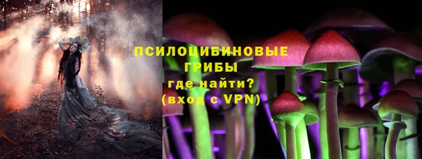 гашик Алзамай