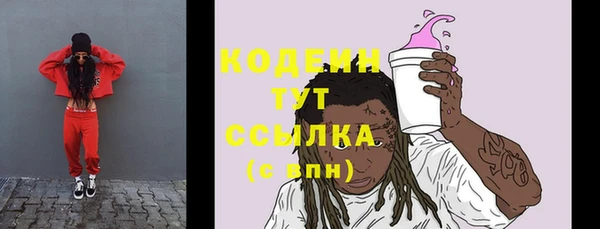 гидра Нея