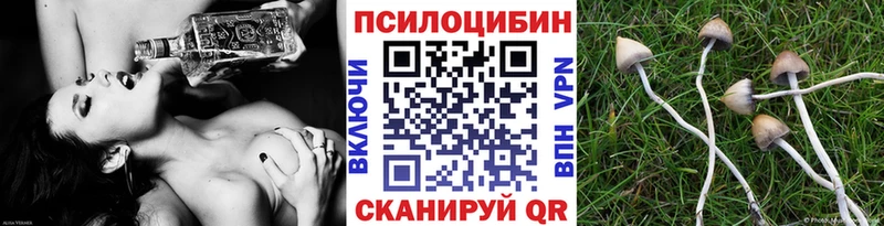 дарк нет наркотические препараты  дарнет шоп  Первоуральск  Галлюциногенные грибы прущие грибы 